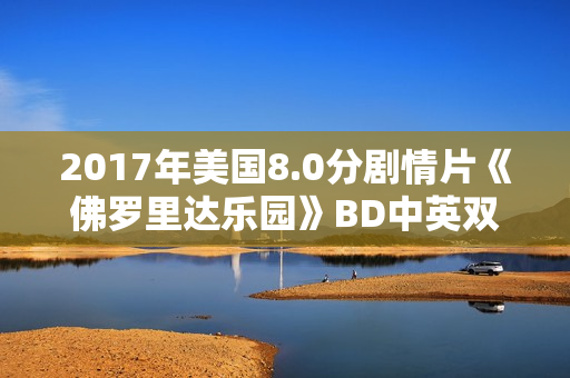 2017年美国8.0分剧情片《佛罗里达乐园》BD中英双字