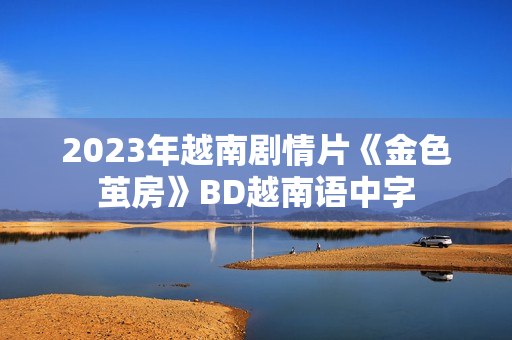2023年越南剧情片《金色茧房》BD越南语中字 2023年越南剧情片《金色茧房》BD越南语中字