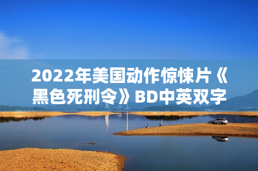 2022年美国动作惊悚片《黑色死刑令》BD中英双字