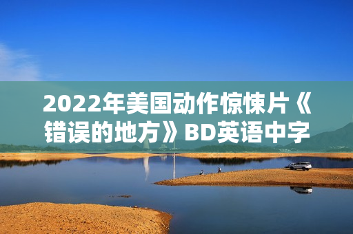 2022年美国动作惊悚片《错误的地方》BD英语中字
