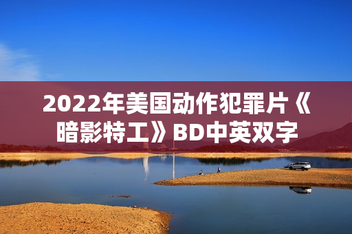 2022年美国动作犯罪片《暗影特工》BD中英双字