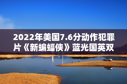 2022年美国7.6分动作犯罪片《新蝙蝠侠》蓝光国英双语中字