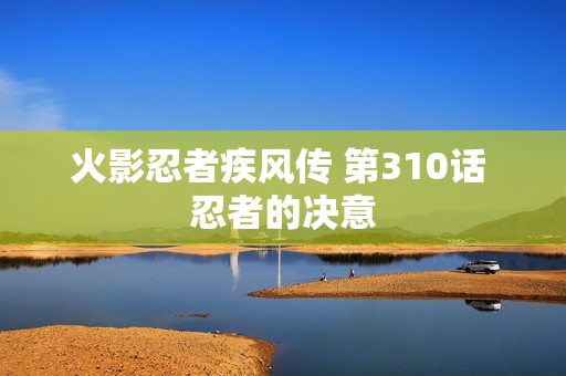 火影忍者疾风传 第310话 忍者的决意