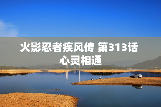 火影忍者疾风传 第313话 心灵相通