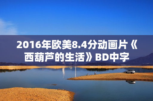 2016年欧美8.4分动画片《西葫芦的生活》BD中字