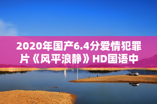 2020年国产6.4分爱情犯罪片《风平浪静》HD国语中字