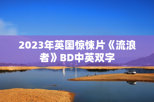 2023年英国惊悚片《流浪者》BD中英双字