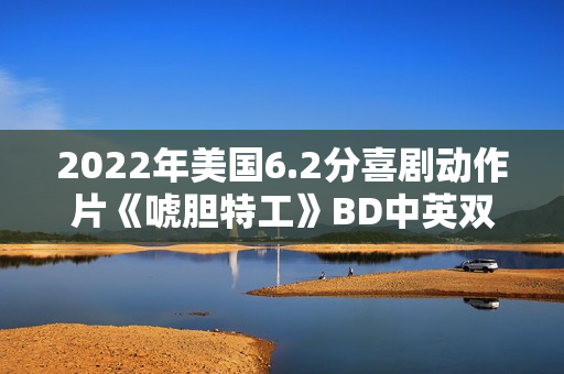 2022年美国6.2分喜剧动作片《唬胆特工》BD中英双字