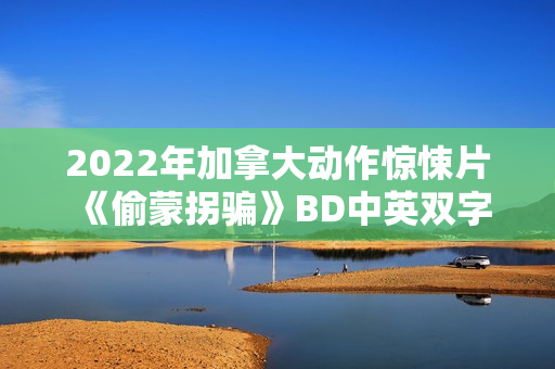 2022年加拿大动作惊悚片《偷蒙拐骗》BD中英双字