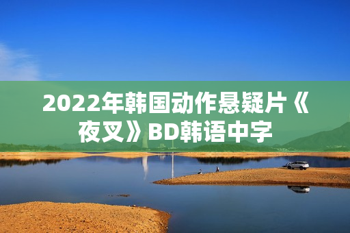 2022年韩国动作悬疑片《夜叉》BD韩语中字