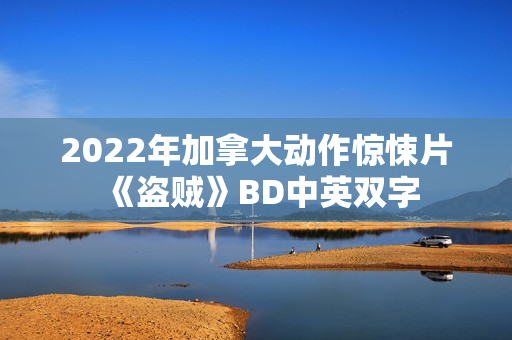 2022年加拿大动作惊悚片《盗贼》BD中英双字