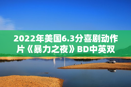 2022年美国6.3分喜剧动作片《暴力之夜》BD中英双字