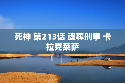 死神 第213话 魂葬刑事 卡拉克莱萨