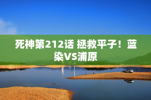 死神第212话 拯救平子！蓝染VS浦原