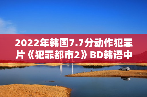 2022年韩国7.7分动作犯罪片《犯罪都市2》BD韩语中字