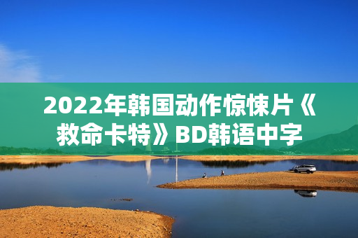 2022年韩国动作惊悚片《救命卡特》BD韩语中字