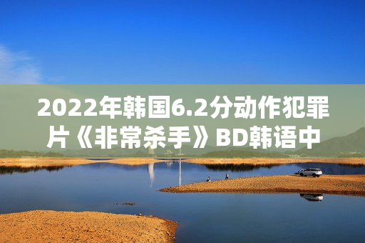 2022年韩国6.2分动作犯罪片《非常杀手》BD韩语中字