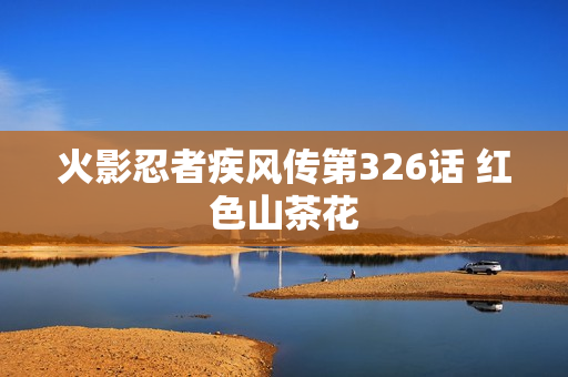 火影忍者疾风传第326话 红色山茶花