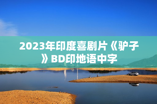 2023年印度喜剧片《驴子》BD印地语中字
