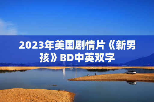 2023年美国剧情片《新男孩》BD中英双字