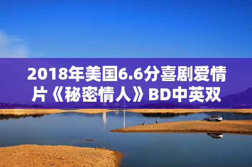 2018年美国6.6分喜剧爱情片《秘密情人》BD中英双字