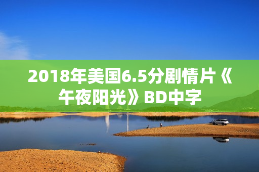 2018年美国6.5分剧情片《午夜阳光》BD中字