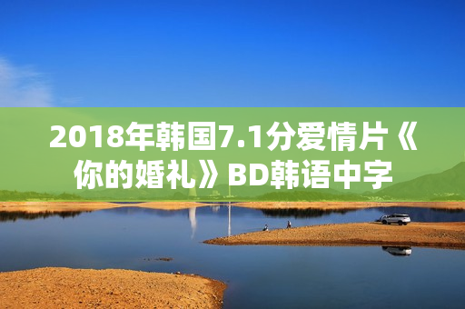 2018年韩国7.1分爱情片《你的婚礼》BD韩语中字