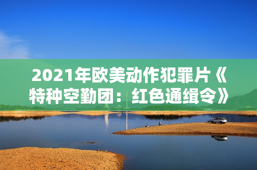 2021年欧美动作犯罪片《特种空勤团：红色通缉令》BD中英双字