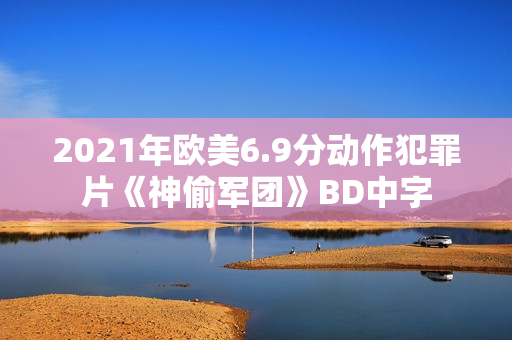 2021年欧美6.9分动作犯罪片《神偷军团》BD中字