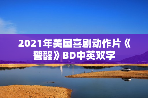 2021年美国喜剧动作片《警醒》BD中英双字