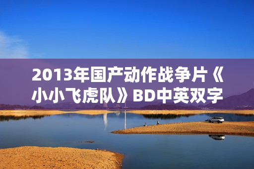 2013年国产动作战争片《小小飞虎队》BD中英双字