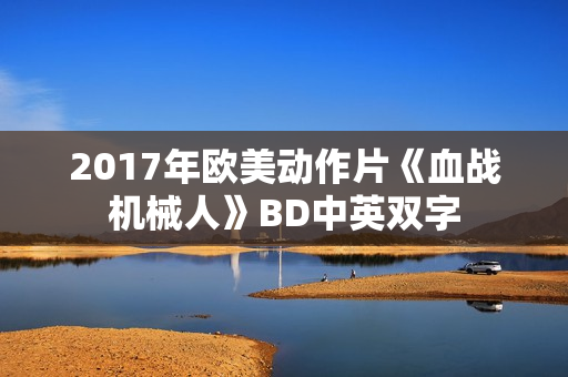 2017年欧美动作片《血战机械人》BD中英双字