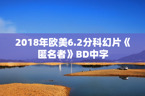 2018年欧美6.2分科幻片《匿名者》BD中字