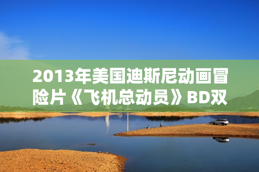 2013年美国迪斯尼动画冒险片《飞机总动员》BD双语双字