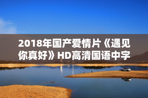 2018年国产爱情片《遇见你真好》HD高清国语中字