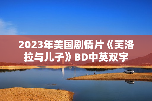 2023年美国剧情片《芙洛拉与儿子》BD中英双字 2023年美国剧情片《芙洛拉与儿子》BD中英双字