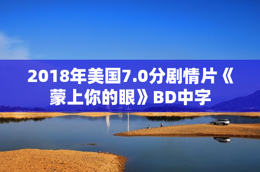 2018年美国7.0分剧情片《蒙上你的眼》BD中字