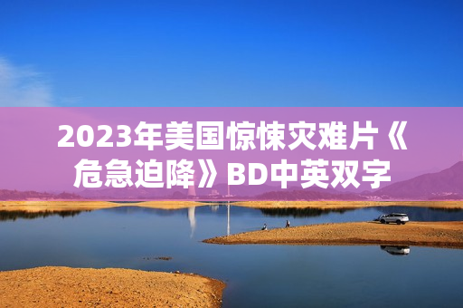 2023年美国惊悚灾难片《危急迫降》BD中英双字 2023年美国惊悚灾难片《危急迫降》BD中英双字