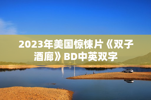 2023年美国惊悚片《双子酒廊》BD中英双字
