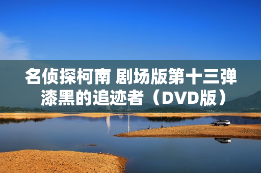 名侦探柯南 剧场版第十三弹 漆黑的追迹者（DVD版）