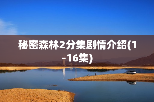 秘密森林2分集剧情介绍(1-16集)