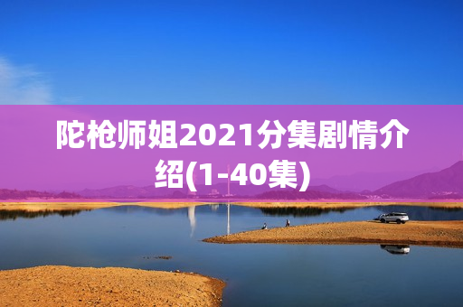 陀枪师姐2021分集剧情介绍(1-40集)