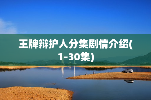 王牌辩护人分集剧情介绍(1-30集)