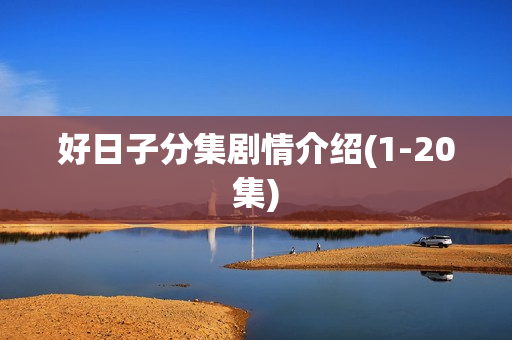 好日子分集剧情介绍(1-20集) 好日子分集剧情介绍(1-20集)