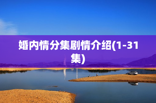 婚内情分集剧情介绍(1-31集)