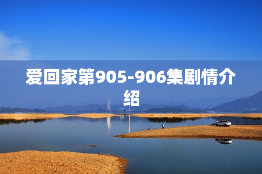 爱回家第905-906集剧情介绍