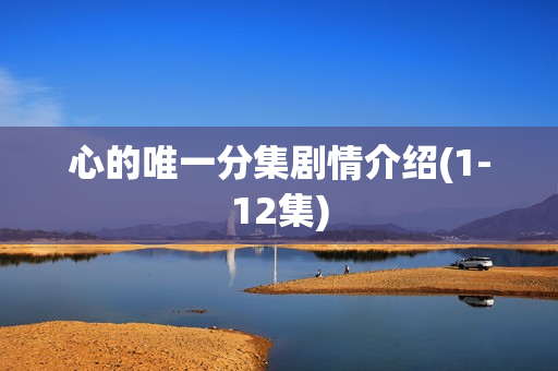 心的唯一分集剧情介绍(1-12集) 心的唯一分集剧情介绍(1-12集)
