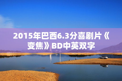 2015年巴西6.3分喜剧片《变焦》BD中英双字