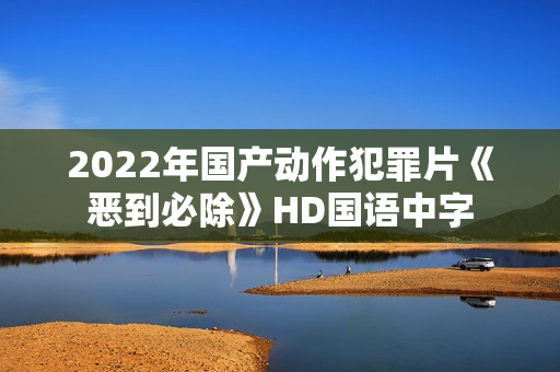 2022年国产动作犯罪片《恶到必除》HD国语中字