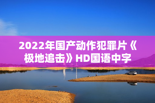 2022年国产动作犯罪片《极地追击》HD国语中字